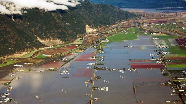 Canada Sees Timber Shipments Slump on British Columbia Floods
