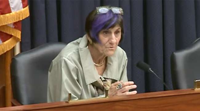 Appropriations Committee Chairwoman Rosa DeLauro (D-Conn.)