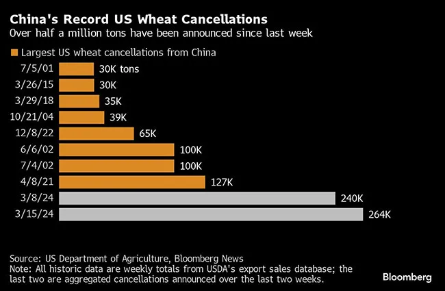 China's record US wheat cancellations