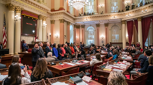 Newly-elected legislators stand to be sworn in