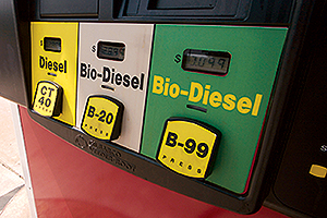 Bio-diesel pump