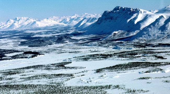 Biden is expected to impose a moratorium on oil leasing in the Arctic National Wildlife Refuge.
