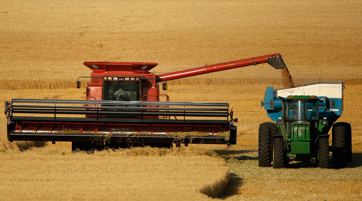 Winter wheat is harvested in a field near McCracken, Kan., in June 2018.