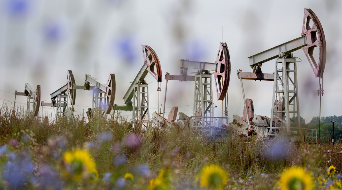 Oil pumping jacks operate in a Russian oilfield on Aug. 16.