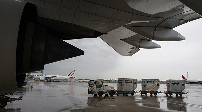 A vehicle transports cargo containers on the tarmac