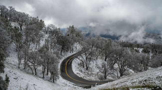 Snow during a storm in Mount Hamilton, Calif.