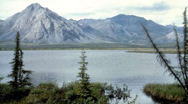Fifteen states are suing to block the Trump administration's decision to sell drilling rights in ANWR.