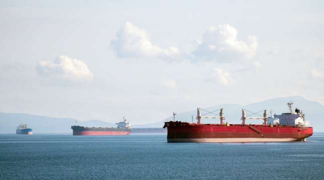 Freighter ships sit anchored off the coast of Ladysmith, British Columbia, in February.