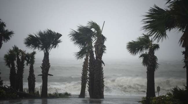 Heavy winds whip palm trees during Hurricane Dorian in Myrtle Beach, S.C., in September 2019.