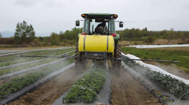 A worker rides a tractor while spraying organic pesticide on crops at a farm in Hudson, N.Y.