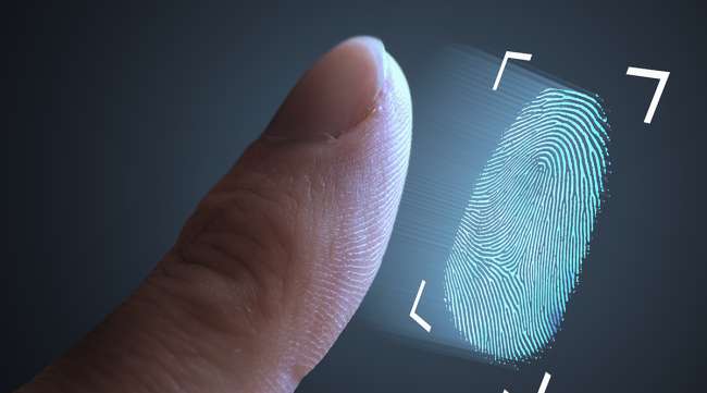 Electronic fingerprinting