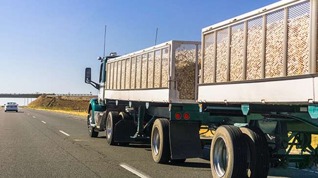 Truck carrying grain