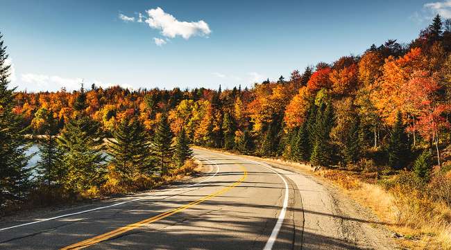 A road in Maine with trees in fall colors