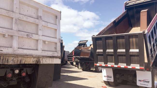 Dump trucks at Ritchie Bros. U.S. auction in Orlando, Fla.