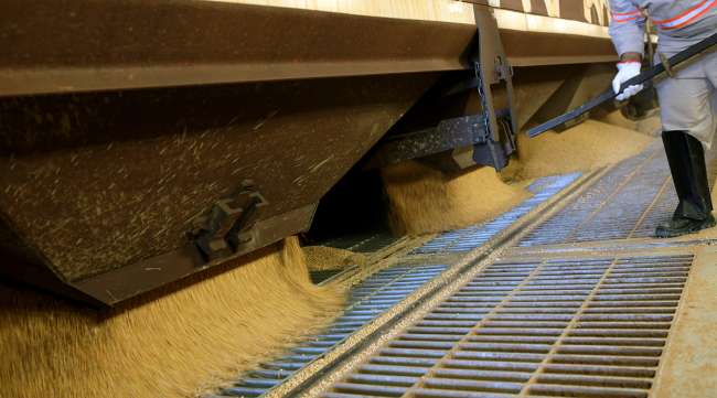 Employee moves soybeans in Brazil