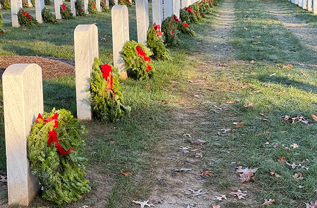Graves at Arlington National Cemetery