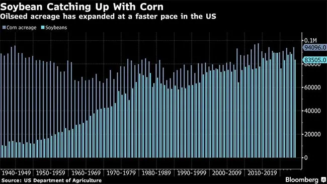 corn/soybean yields