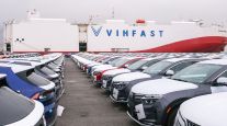VinFast EVs ready for shipping