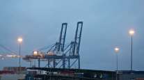 Gantry cranes stand at the Port of Baltimore in March 2020. (Andrew Harrer/Bloomberg News)