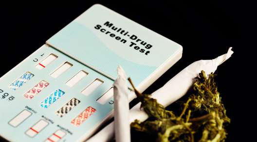 Marijuana drug test image
