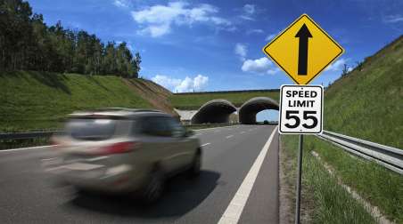 speed limit