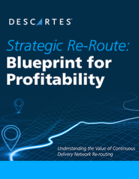 Strategic Re-Route: A Blueprint for Profitability